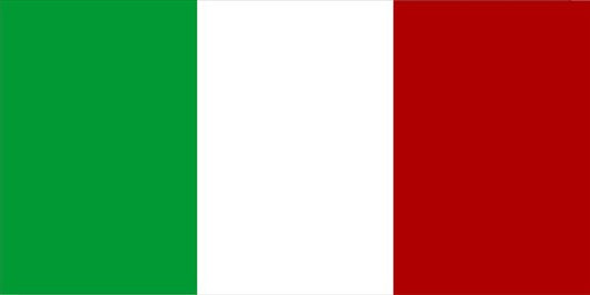 Italy Flag Photo License Plate