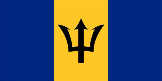 Barbados Flag Photo License Plate