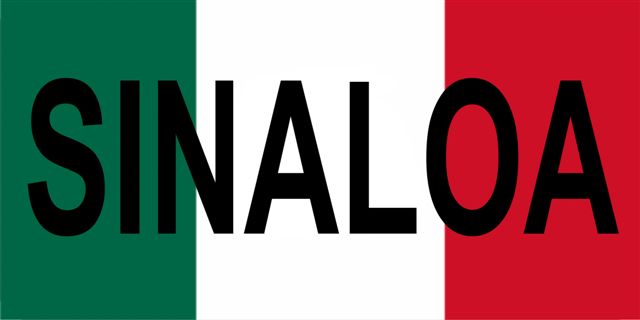 Mexico Sinaloa Photo License Plate