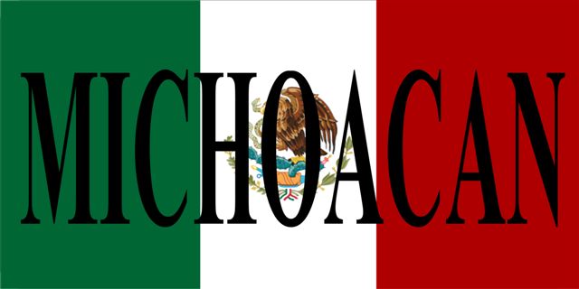 Mexican Flag with Michoacan Photo License Plate