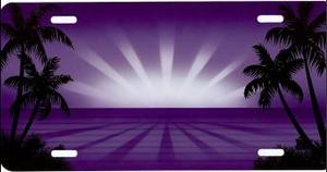 Purple Sunburst Airbrush License Plate