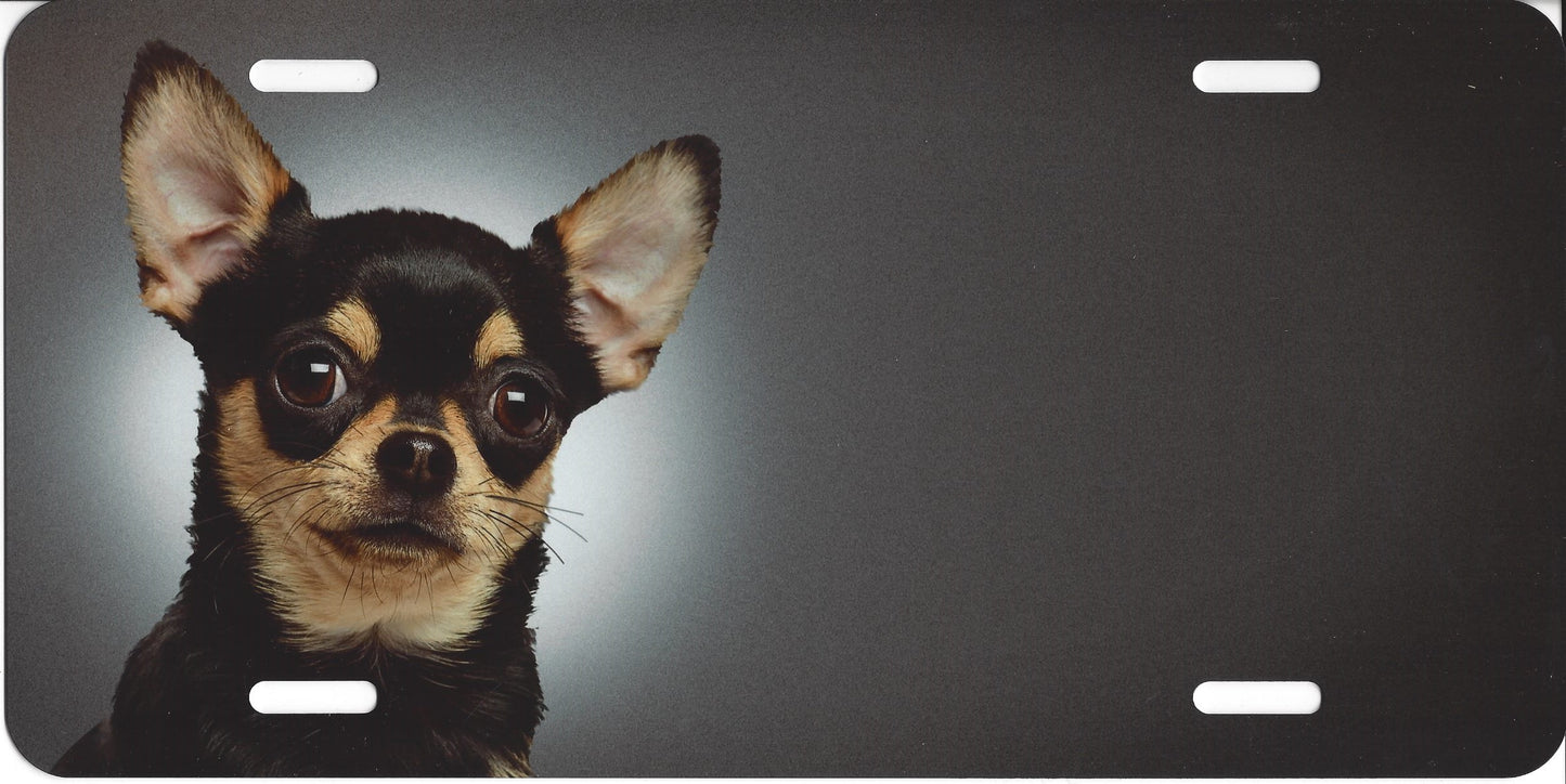 Offset Chihuahua On Grey License Plate