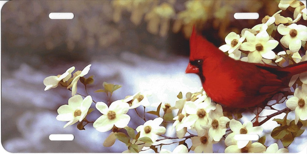 Cardinal Bird Airbrush License Plate