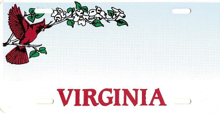 Design It Yourself Custom Virginia State Look-Alike Plate #2