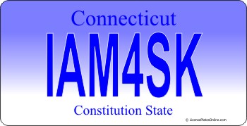 Design It Yourself Connecticut State Look-Alike Bicycle Plate