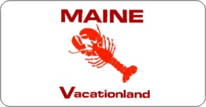 Design it Yourself Custom Maine State Look-Alike Plate