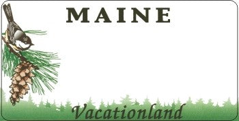 Design It Yourself Custom Maine State Look-Alike Plate #2