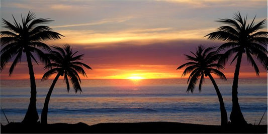 Palm Trees At Sunset Photo License Plate