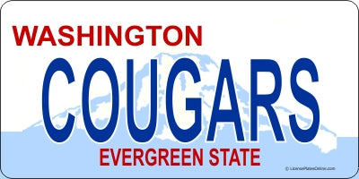 Design It Yourself Custom Washington State Look-Alike Plate #3