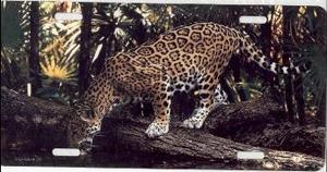 Pouncing Jaguar Photo License Plate